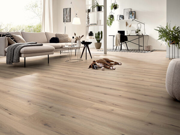 ROBUSTO PLANK ARIZONA OAK BEIGE LAMINATE FLOORING AC5